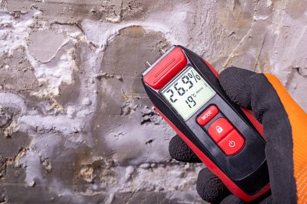 Best Water Damage Restoration  in Brentwood, CA