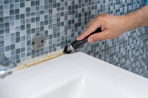 Best Emergency Mold Removal  in Brentwood, CA